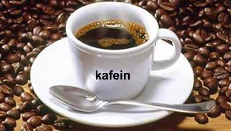 kafein
